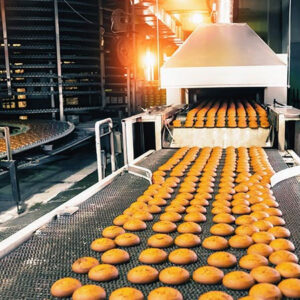 Mechanical Seals for Food and Beverages Industry